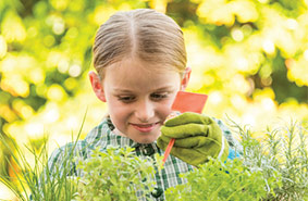 Modern Teaching Aids - Australia's largest supplier of educational