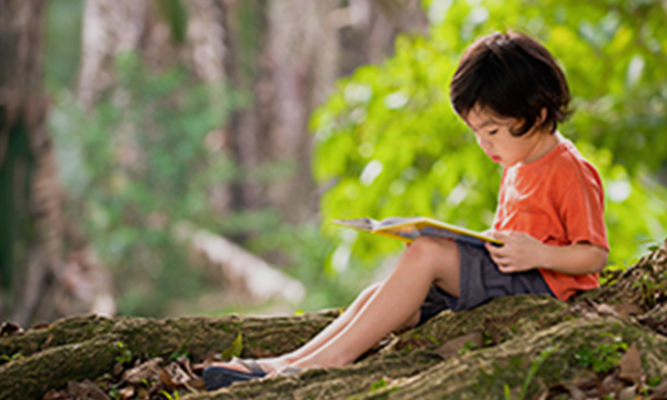 Kid reading on a rock at a park.