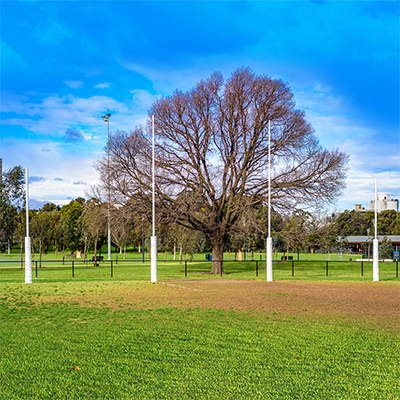 AFL Goals