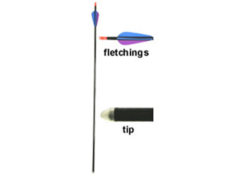 Fibreglass Arrow (each) - Arrows