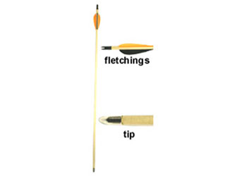 Wood Practice Arrow (each)