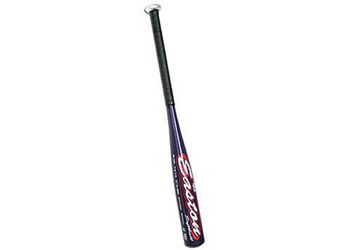 Easton Softball Bat - 27