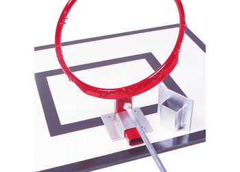 Heavy Duty Removable Ring with bracket