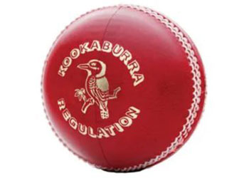Kookaburra Regulation Cricket Ball - 156g