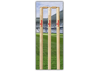 NYDA Cricket Stump Sticker