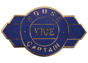 House Vice Captain Badge - Blue