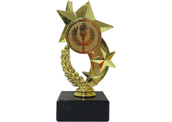 Star Topper Trophy - 18cm