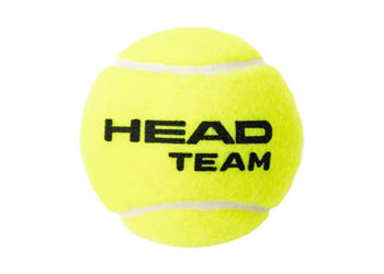 HEAD Team Coaching Tennis Ball Set of 4