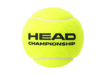 HEAD Championship Tennis Balls x4