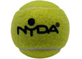 Coaching Tennis Balls (12)