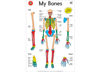 My Bones