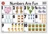 Numbers Are Fun Placemat