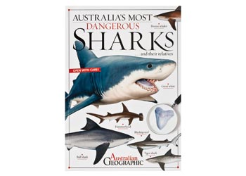 Australia's Most Dangerous Sharks – Book - MTA Catalogue