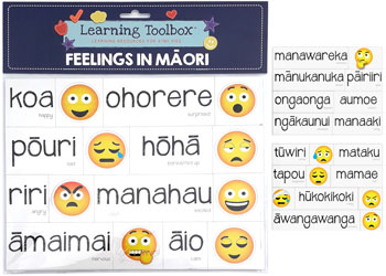 Magnetic NZ Maori Emotions 35pcs
