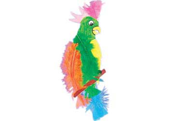 Long Feathers – Pack of 140