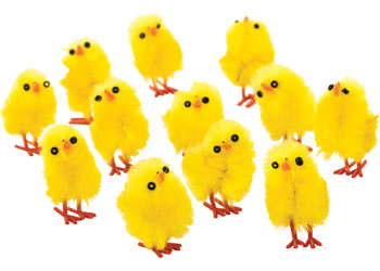 Easter Chicks – Pack of 12