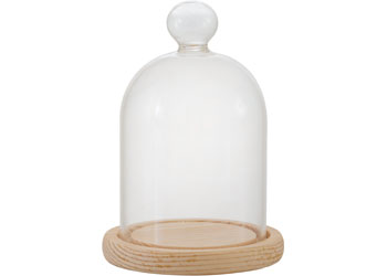 Glass Cloche – Pack of 10
