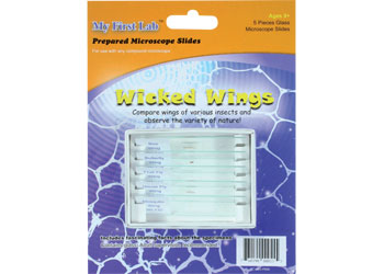 NEW 5 Prepared Microscope Slides WICKED WINGS for use with compound microscopes