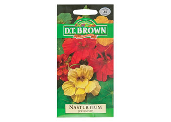 Nasturtium Flower Seeds -Jewel Mixed 35 Seeds