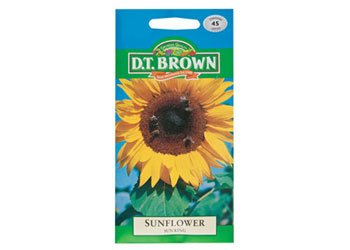 Sunflower – Flower Seeds – Pack of 45 Seeds