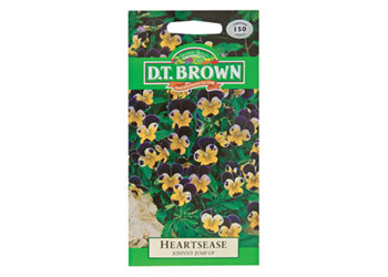 Heartsease Johnny Jump Flower Seeds 150 Seeds