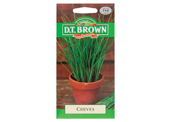 Chives – Herb Seeds – Pack of 750 - MTA Catalogue