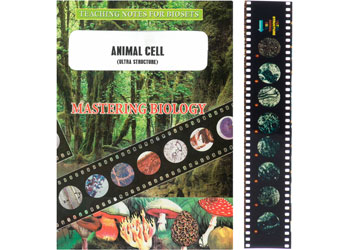 Bio Viewer Slide Set Animal Cells - MTA Catalogue