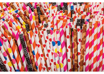Assorted Paper Straws – Pack of 500