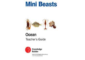Mini Beasts Ocean Set Large