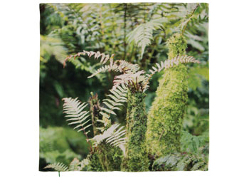 Fern Cushion Cover – 50 x 50cm