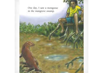 A Mongoose Tale