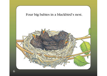 Blackbird’s Nest