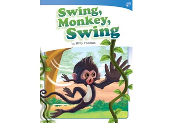 Monkey Swing Math Playground