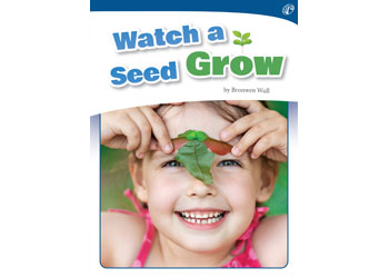 Watch a Seed Grow
