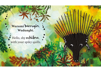 Australian Animals Indigenous Discovery Picture Book