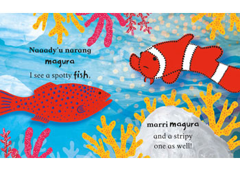 Under the Sea Indigenous Discovery Picture Book