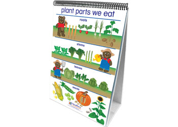 All About Plants Curriculum Mastery Flip Charts – EC