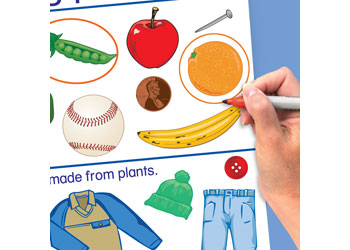 All About Plants Curriculum Mastery Flip Charts – EC