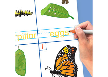 All About Animals Curriculum Mastery Flip Charts – EC