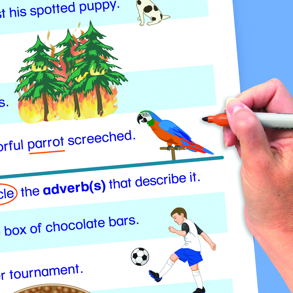 Parts of Speech Flip Chart Set Grades 4-8