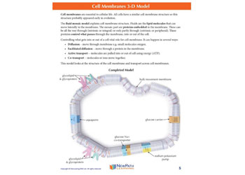 Cell Membranes Model Making Kit