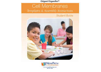 Cell Membranes Model Making Kit