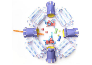 Cell Nucleus Model Making Kit