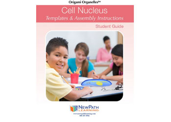 Cell Nucleus Model Making Kit