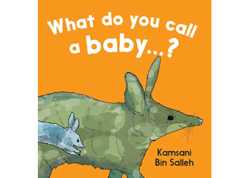 What do you call a baby…?