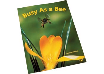 Busy As A Bee Big Book - MTA Catalogue