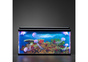 Jelly Fish Tank Large + Adaptor