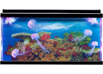 Jelly Fish Tank Large + Adaptor