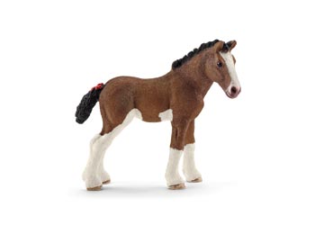 Schleich – Clydesdale Foal - Tutor Warehouse Catalogue