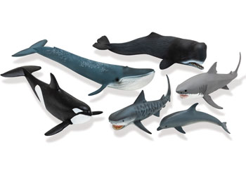 Schleich – Ocean Animals – 6 pieces 